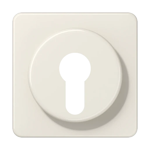 Jung CD range afdekking bedieningselement cd500 sleutel wit RAL 1013 528