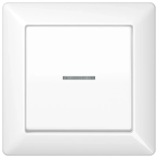 Jung AS range volle afdekplaat + schakelwip controleschakelaar as500 enkele wip wit RAL 9016 AS590KO5WW
