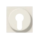 Jung AS range centraalplaat sleutelschakelaars en impulsgevers a(s)500 sleutel wit RAL 1013 A528PL