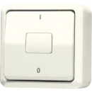 Jung AP 600 wipschakelaar Tweepolige schakelaar opbouw 10AX wit RAL 1013 IP20 602A