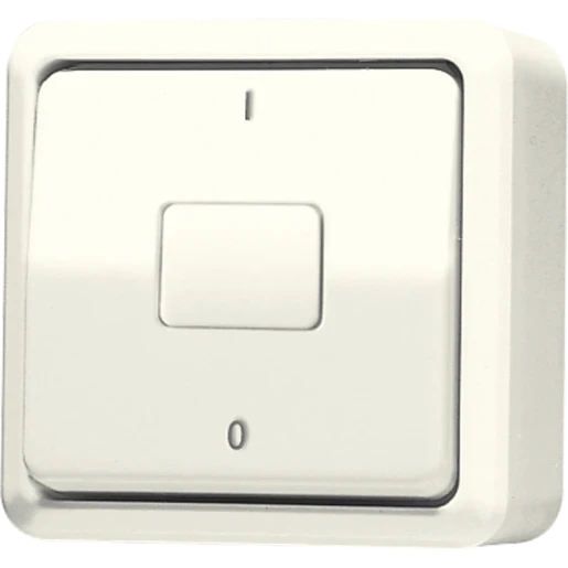 Jung AP 600 wipschakelaar Tweepolige schakelaar opbouw 10AX wit RAL 1013 IP20 602A