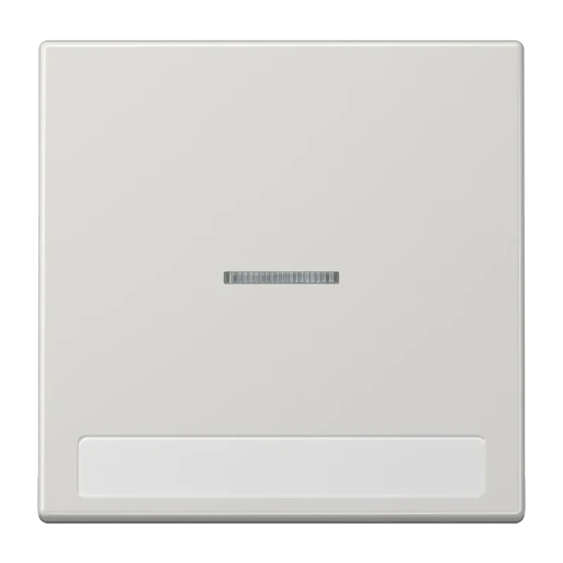 Jung LS range schakelwip ls990 enkele wip grijs RAL 7035 LS990NAKO5LG