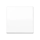 Jung AS range Centraalplaat + schakelwip schroefbaar enkele wip wit RAL 9016 AS591BFWW