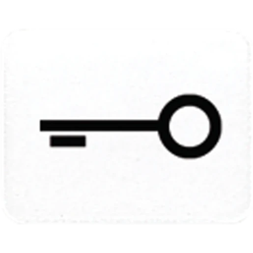 Jung inzetstuk alpine wit contactdoos ls/wg600/ap sleutel Symbool 