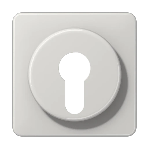 Jung CD range centraalplaat sleutelschakelaar cd500 sleutel grijs RAL 7035 CD528LG