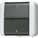 Jung WG 800 wipschakelaar met onderkast Tweepolige schakelaar opbouw grijs RAL 7035 IP44 802W