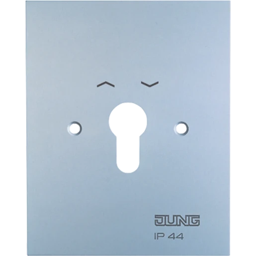 Jung WG 800 Afdekking aluminium RAL 9006 4.28WUG