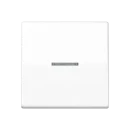 Jung AS range Centraalplaat + schakelwip schroefbaar enkele wip wit RAL 9016 AS591KO5BFWW
