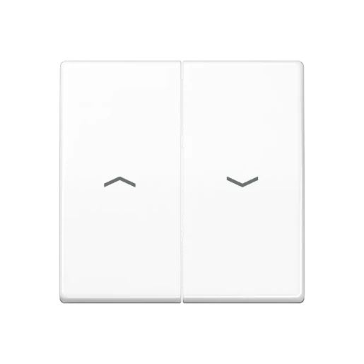 Jung AS range Centraalplaat + schakelwip tweedelige wip wit RAL 9016 AS591-5PBFWW