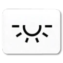 Jung inzetstuk contactdoos alpine wit 500/ap600 licht Symbool 