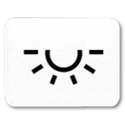 Jung inzetstuk contactdoos alpine wit 500/ap600 licht Symbool 