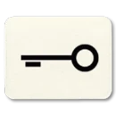 Jung inzetststuk contactdoos /ls/wg600/ap sleutel Symbool 