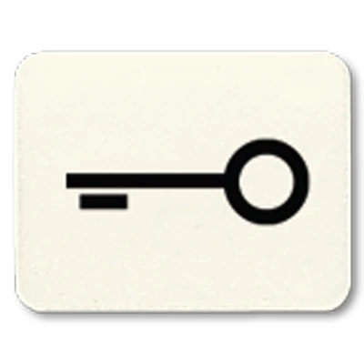 Jung inzetststuk contactdoos /ls/wg600/ap sleutel Symbool 