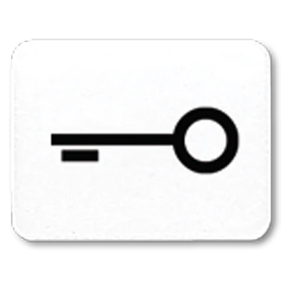 Jung inzetstuk alpine wit contactdoos ls/wg600/ap sleutel Symbool 