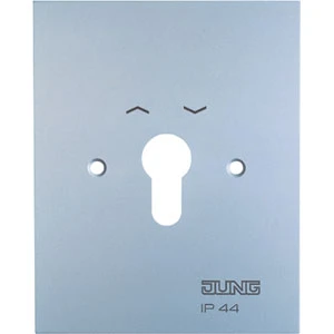 Jung WG 800 Afdekking aluminium RAL 9006 4.28WUG