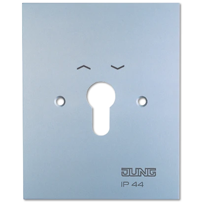 Jung WG 800 Afdekking aluminium RAL 9006 4.28WUG