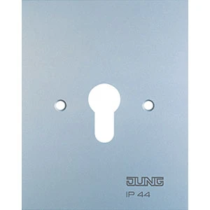 Jung WG 800 Afdekplaat aluminium RAL 9006 6.28WUG