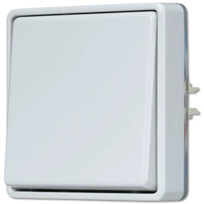 Jung WG 600 wipschakelaar zonder onderkast Tweepolige schakelaar opbouw grijs IP44 602E