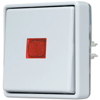 Jung WG 600 wipschakelaar controleschakelaar Tweepolige schakelaar opbouw 10AX grijs RAL 7035 IP44 602KOE