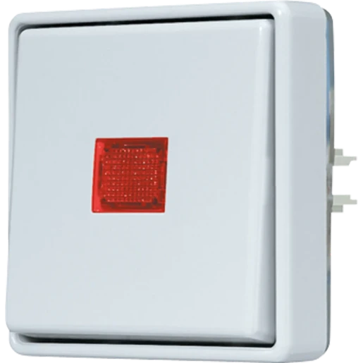 Jung WG 600 wipschakelaar controleschakelaar Tweepolige schakelaar opbouw 10AX grijs RAL 7035 IP44 602KOE