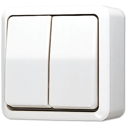 Jung AP 600 wipschakelaar Serieschakelaar opbouw 10AX wit RAL 9016 IP20 605AWW
