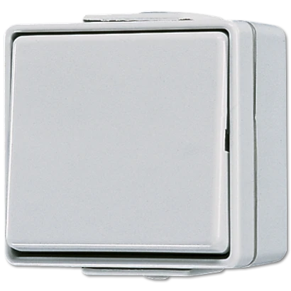 Jung WG 600 wipschakelaar met onderkast Wisselschakelaar opbouw grijs RAL 7035 IP44 606W
