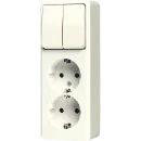 Jung AP 600 combinatie wandcontactdoos serie + ra opbouw Enkel drukcontact wit IP20 625A