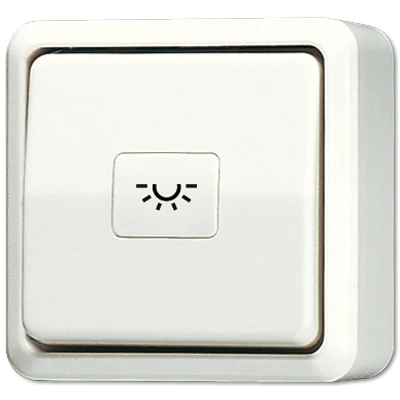 Jung AP 600 Impulsdrukker opbouw Wip Glanzend wit RAL 1013 631A