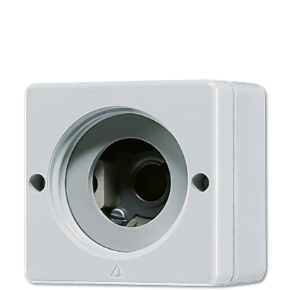 Jung WG 600 Lichtsignaal armatuur Basiselement 230V opbouw grijs IP44 637-10W