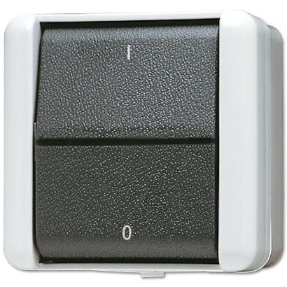 Jung WG 800 wipschakelaar met onderkast Tweepolige schakelaar opbouw grijs RAL 7035 IP44 802W