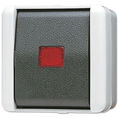 Jung WG 800 wipschakelaar controleschakelaar met onderkast Wisselschakelaar opbouw grijs RAL 7035 IP44 806KOW