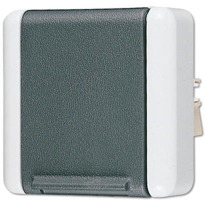 Jung WG 800 wandcontactdoos (zonder onderkast) opbouw 16A 250V RA Glanzend grijs RAL 7035 IP44 820N