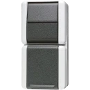 Jung WG 800 combinatie wandcontactdoos wissel + ra opbouw grijs IP44 876W