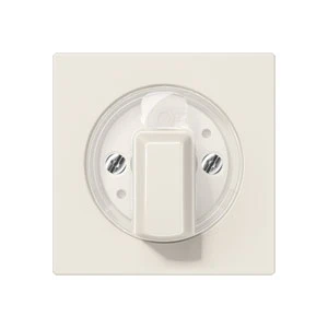 Jung AS range centraalplaat + knop voor timers a(s)500 draaiknop wit RAL 1013 A1541