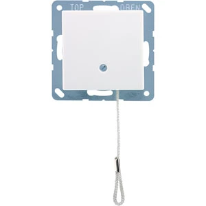 Jung AS/A range trekschakelaar a500 Wisselschakelaar inbouw 10AX wit RAL 9016 IP44 A506BFNUZWW