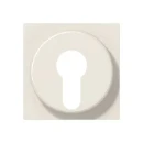 Jung AS range centraalplaat sleutelschakelaars en impulsgevers a(s)500 sleutel wit RAL 1013 A528PL