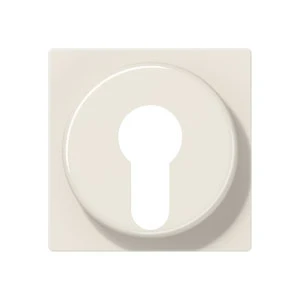 Jung AS range centraalplaat sleutelschakelaars en impulsgevers a(s)500 sleutel wit RAL 1013 A528PL