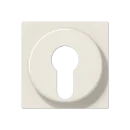 Jung AS range centraalplaat sleutelschakelaars en impulsgevers a(s)500 sleutel wit RAL 1013 A528PL