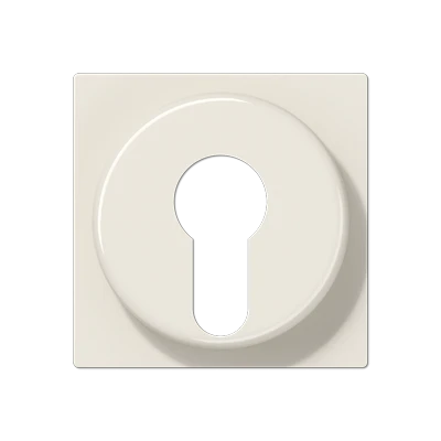 Jung AS range centraalplaat sleutelschakelaars en impulsgevers a(s)500 sleutel wit RAL 1013 A528PL