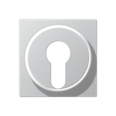 Jung A range centraalplaat sleutelschakelaar a500 sleutel aluminium RAL 9006 A528PLAL