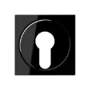 Jung A range Afdekking A500 sleutelschakelaar sleutel zwart RAL 9005 A528PLSW