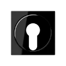 Jung A range Afdekking A500 sleutelschakelaar sleutel zwart RAL 9005 A528PLSW
