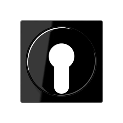 Jung A range Afdekking A500 sleutelschakelaar sleutel zwart RAL 9005 A528PLSW