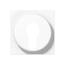 Jung AS/A range centraalplaat sleutelschakelaar a(s)500 sleutel wit RAL 9016 A528PLWW