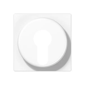 Jung AS/A range centraalplaat sleutelschakelaar a(s)500 sleutel wit RAL 9016 A528PLWW