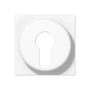 Jung AS/A range centraalplaat sleutelschakelaar a(s)500 sleutel wit RAL 9016 A528PLWW