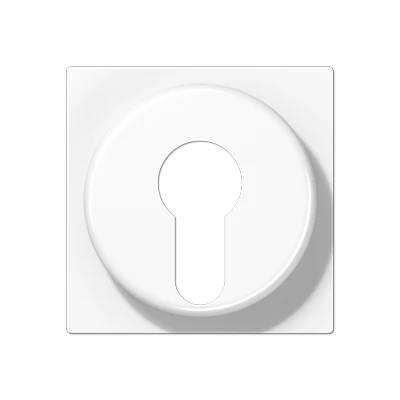 Jung AS/A range centraalplaat sleutelschakelaar a(s)500 sleutel wit RAL 9016 A528PLWW