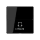 Jung A range Bedieningselement afdekking A500 hotelkaart zwart RAL 9005 A590CARDSW