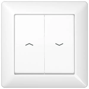 Jung AS range volle afdekplaat + schakelwippen as500 tweedelige wip wit RAL 9016 AS590-5PWW
