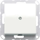 Jung AS range Centraalplaat + kabel-invoerplaat Leidinguitvoer Basiselement met centrale afdekplaat Zonder label wit AS590AWW